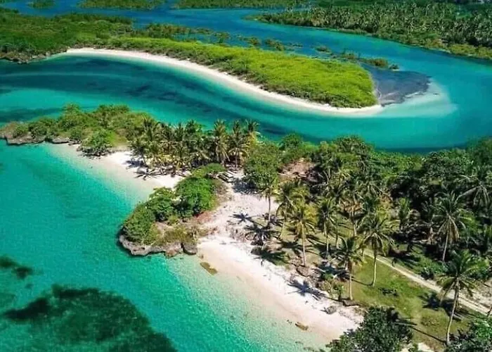 Paradise